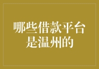 温州市内主流借款平台全面解析