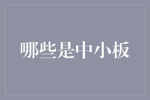 哪些是中小板