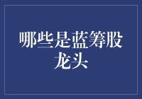 中国股市中的蓝筹股龙头：稳健投资的角度分析