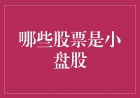 小盘股的奇妙冒险：寻找那些不起眼却可能改变世界的公司