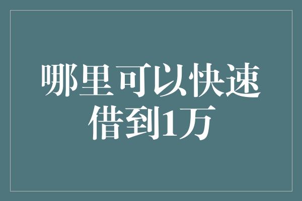 哪里可以快速借到1万