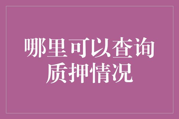 哪里可以查询质押情况