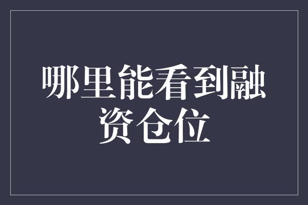 哪里能看到融资仓位