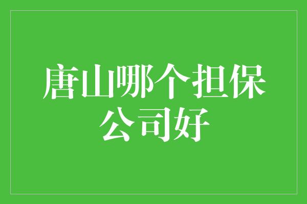 唐山哪个担保公司好