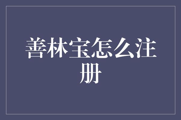 善林宝怎么注册