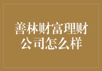 互联网金融平台中的善林财富理财公司：服务模式与市场评价