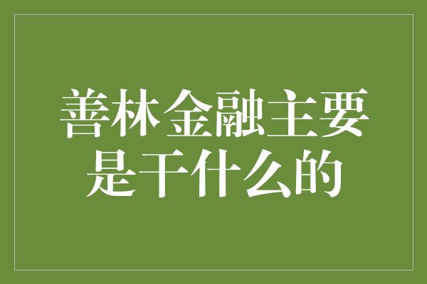 善林金融主要是干什么的