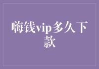 嗨钱VIP与贷款申请的微妙平衡：多久能够获得下款？