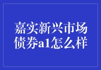 嘉实新兴市场债券A1：新兴市场的投资新星？