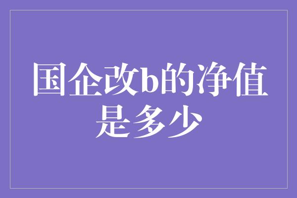 国企改b的净值是多少