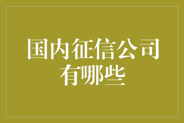 国内征信公司有哪些