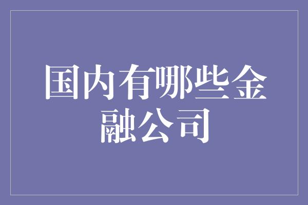 国内有哪些金融公司