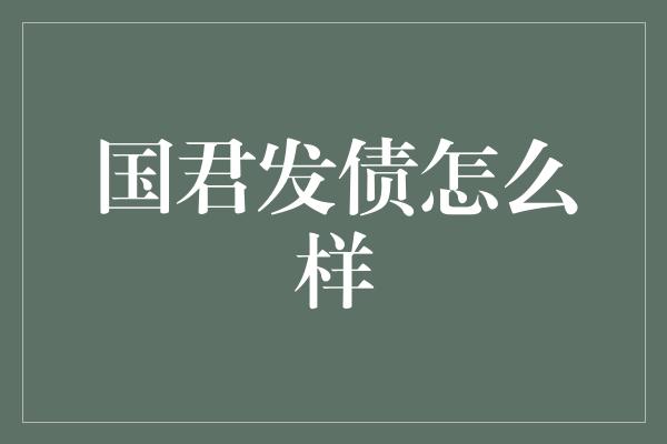 国君发债怎么样