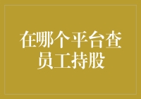 员工持股计划：透明度及查询途径解析