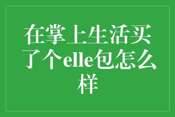 在掌上生活买了个elle包怎么样