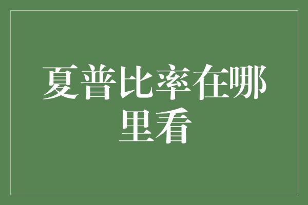 夏普比率在哪里看