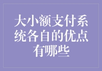 大小额支付系统各自优点探究