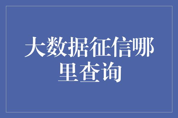 大数据征信哪里查询