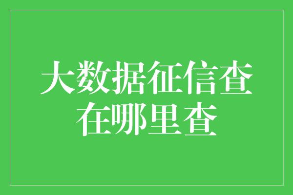 大数据征信查在哪里查