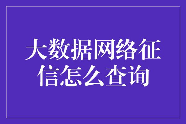 大数据网络征信怎么查询