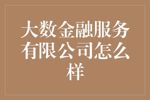 大数金融服务有限公司怎么样