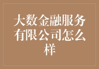 大数金融服务有限公司：引领科技金融新潮流