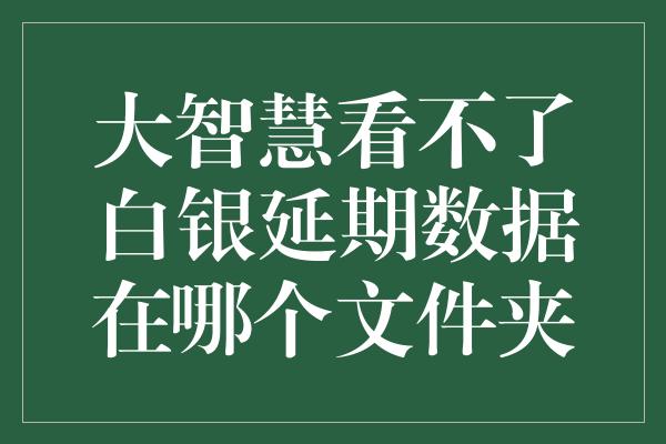 大智慧看不了白银延期数据在哪个文件夹