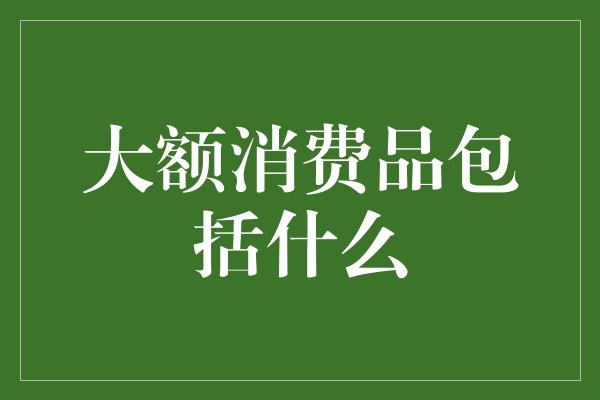 大额消费品包括什么