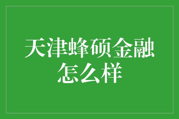 天津蜂硕金融怎么样