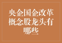 央企国企改革概念股龙头：把握时代脉搏，引领转型趋势