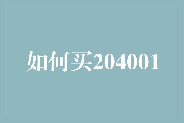 如何买204001