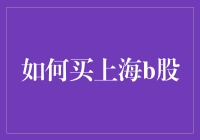 如何购买上海B股：深入解析与实战指南