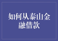 怎样轻松搞定泰山金融借款？看完这篇你就明白了！