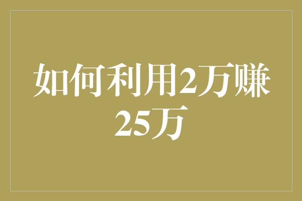 如何利用2万赚25万