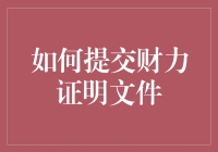 如何提交财力证明文件：一份详尽的指导手册