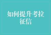 考拉征信提升指南：从咸鱼到金牌考拉的华丽转变