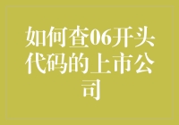 如何查询06开头代码的上市公司：策略与技巧