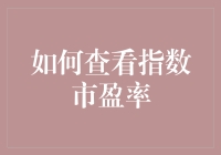 查看指数市盈率：如何解读市场价值与增长潜力