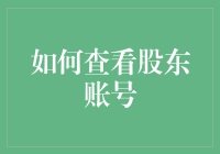 如何查看股东账号：从法人资格到财务信息的全面解析