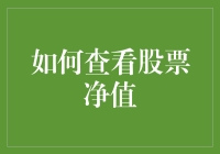 如何精准查询并解读股票的净值以进行高效投资