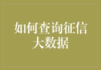 如何运用专业方法查询征信大数据：从技术到合规的全面解析