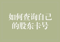 如何查询并解读您的股东卡号：一份详尽指南