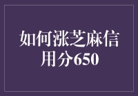 如何通过合理规划与实践提升芝麻信用分至650？