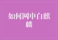 如何撰写优秀的白麒麟奖学金申请书：策略与技巧