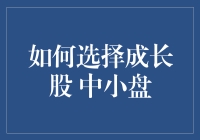 如何在股市中找到未来的金苹果：成长股与中小盘的猎奇之旅