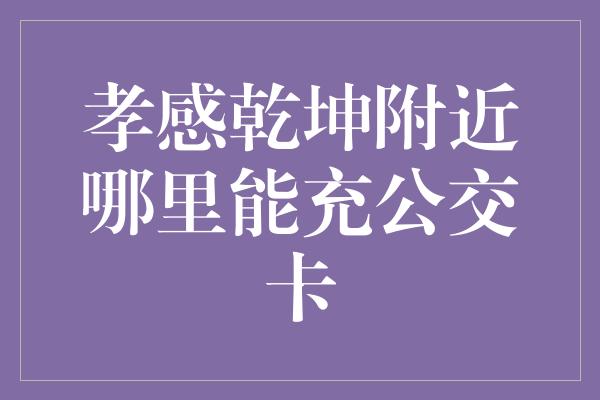 孝感乾坤附近哪里能充公交卡