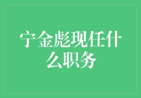 宁金彪，你是未来独角兽的CEO，还是才华横溢的码农？