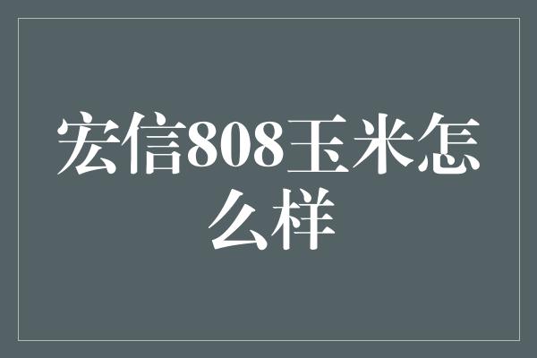 宏信808玉米怎么样