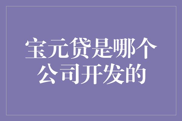 宝元贷是哪个公司开发的