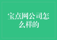 宝点网：我们是那家让你疯狂的宝藏公司